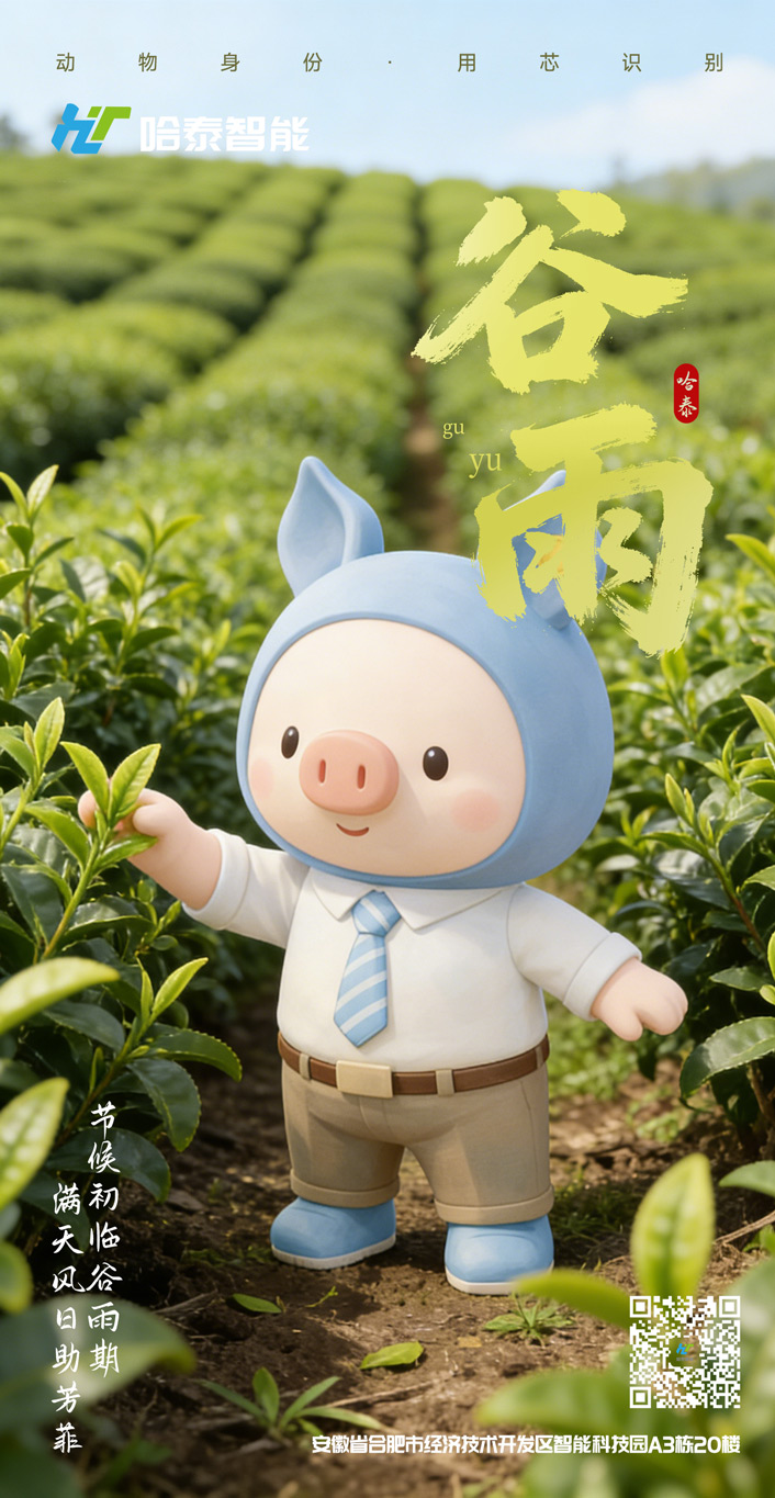 小猪ip