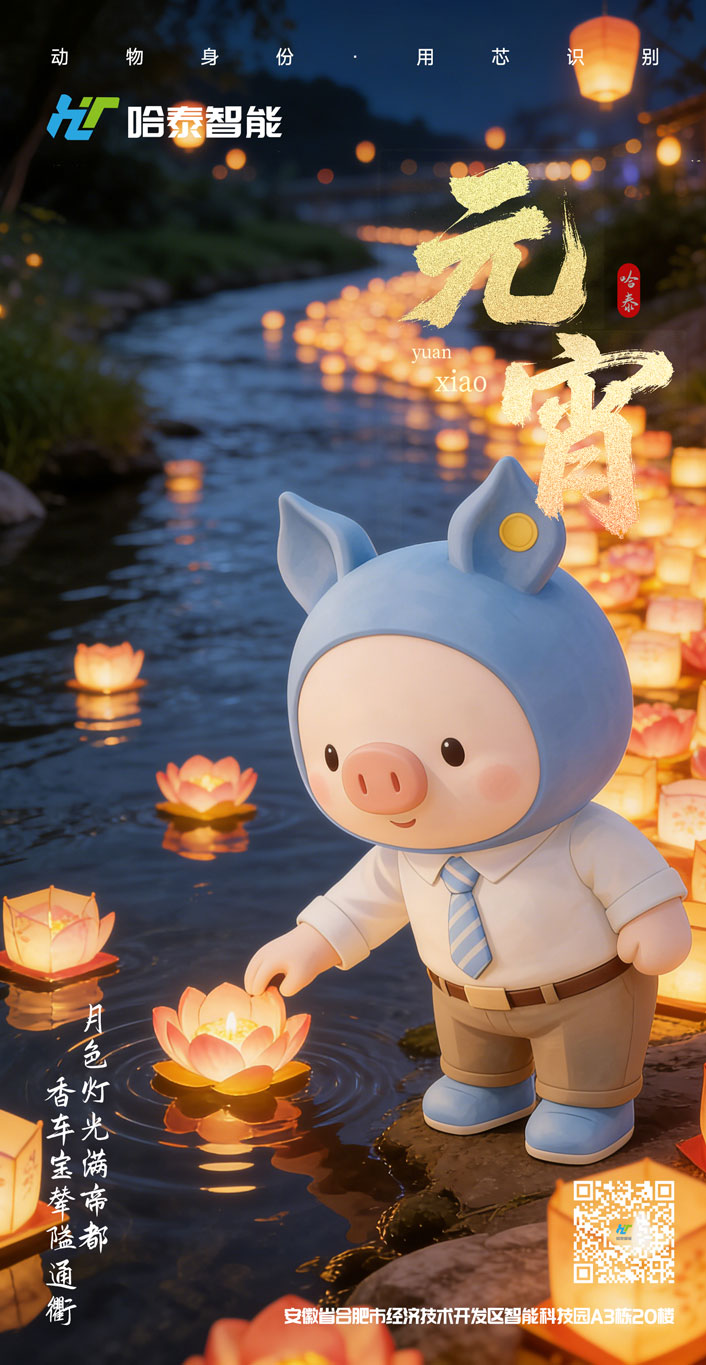 小猪ip